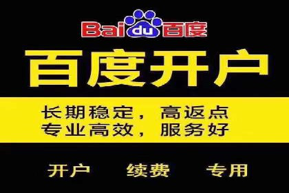 案例分析：SEM竞价托管代运营优势